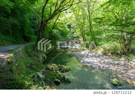 夏の帝釈峡、緑に包まれた清流と木漏れ日の渓谷風景 夏の帝釈峡、緑に包まれた清流と木漏れ日の渓谷風景 128711212