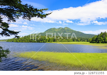 夏の尾瀬　満開のニッコウキスゲ　大江湿原〜尾瀬沼 128711355