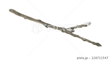 A bare tree branch covered with frost, snow and ice. Watercolor illustration of a hoarfrost wood stick. Hand drawn vintage sketch on white isolated background. Water color painting art image A bare tree branch covered with frost, snow and ice. Watercolor illustration of a hoarfrost wood stick. Hand drawn vintage sketch on white isolated background. Water color painting art image 128711547
