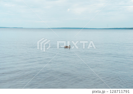 【フィンランドタンペレ】ラウハニエミ湖 【フィンランドタンペレ】ラウハニエミ湖 128711791