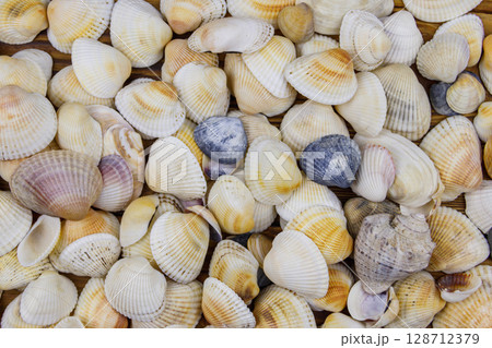 Background of the sea shells. Summer vacation concept Background of the sea shells. Summer vacation concept 128712379