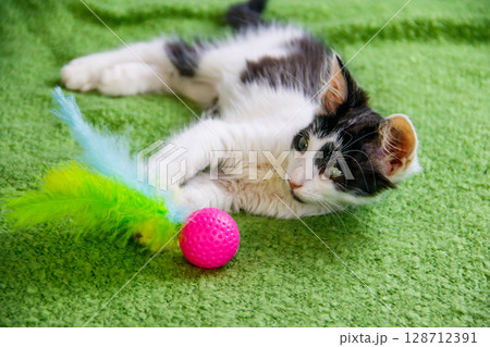 Beautiful kitten playing with a toy on a bed 128712391