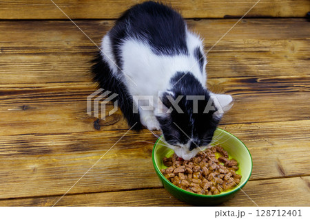 Kitten eating his food from ceramic bowl on wooden floor 128712401