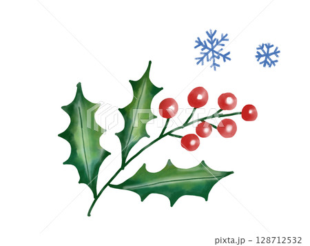 クリスマス　ヒイラギ 128712532