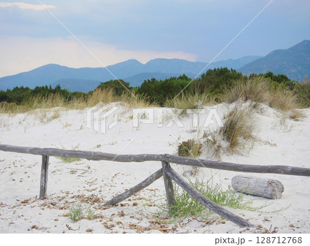 A sand dune at the beach Spiaggia La Cinta in San Teodoro, Olbia, Sardinia 128712768