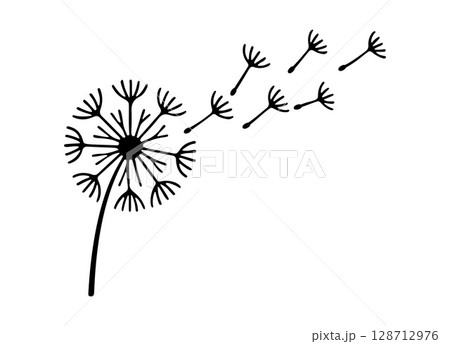 Dandelion black and white icon clean line art, doodle style.  128712976