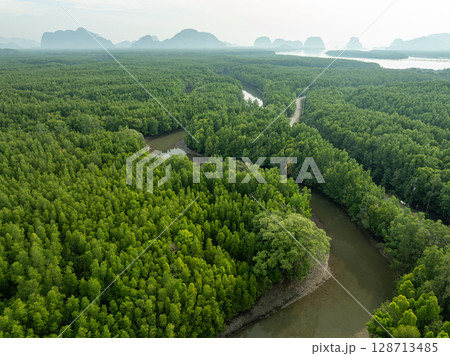 Drone view Mangrove forest trees in Thailand. Drone view Mangrove forest trees in Thailand. 128713485