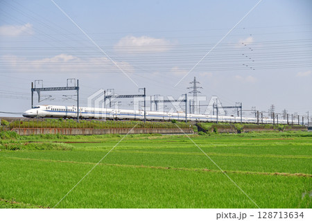 東海道新幹線　新横浜－小田原　JR東海　JR西日本　N700A系　のぞみ　ひかり　こだま 128713634