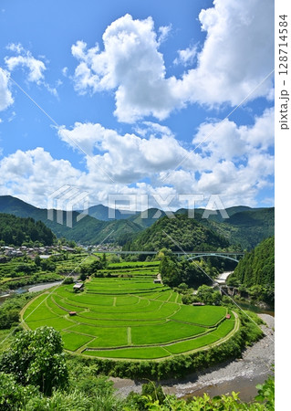 夏のあらぎ島 和歌山 夏のあらぎ島 和歌山 128714584