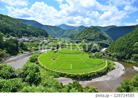 夏のあらぎ島　和歌山 128714585