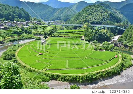 夏のあらぎ島　和歌山 128714586