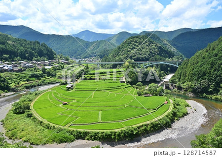 夏のあらぎ島　和歌山 128714587