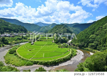 夏のあらぎ島 和歌山 夏のあらぎ島 和歌山 128714588