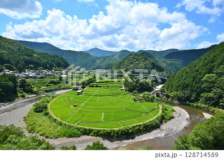 夏のあらぎ島 和歌山 夏のあらぎ島 和歌山 128714589