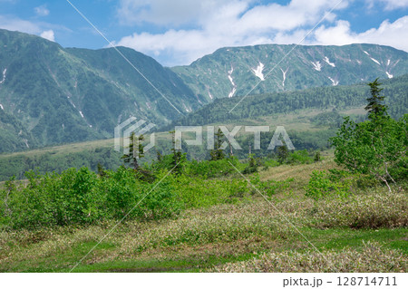 弥陀ヶ原から望む奥大日岳 弥陀ヶ原から望む奥大日岳 128714711