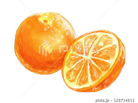 瑞々しくて美味しそうなオレンジの手描き水彩イラスト 128714811
