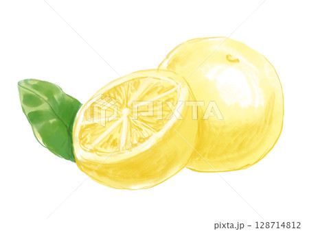 瑞々しくて美味しそうなグレープフルーツの手描き水彩イラスト 瑞々しくて美味しそうなグレープフルーツの手描き水彩イラスト 128714812