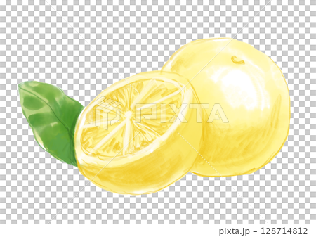 Fresh and delicious grapefruit hand-drawn watercolor illustration 128714812