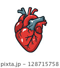 Flat Vector Illustration of a Human Anatomical Heart 128715758