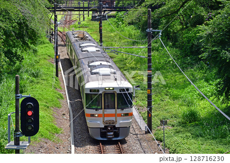 御殿場線 山北 JR東海 313系 N7編成(静岡) 御殿場線 山北 JR東海 313系 N7編成(静岡) 128716230