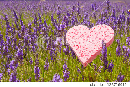 Lavender field and heart shaped pink sponge. Spa aromatherapy and cosmetology. 128716912