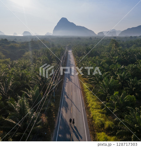 A couple walking together along the road with palm tree plantation beside 128717303