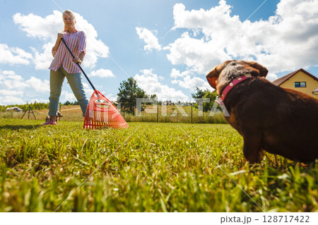 Dog looking at woman working in garden Dog looking at woman working in garden 128717422