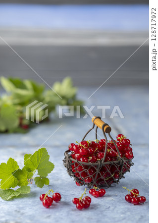 Freshly picked red currants spilling from a small metal basket 128717972