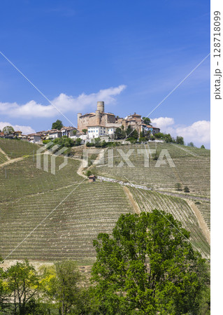 Monforte d'Alba rising over the vineyards in the Langhe, Piedmont, Italy 128718099