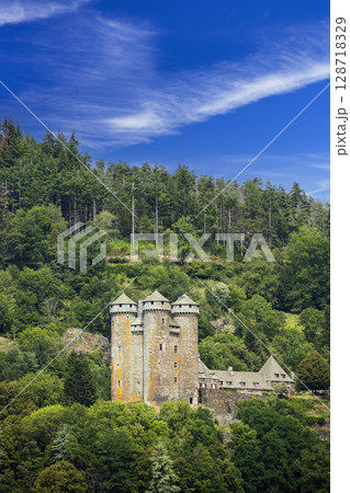 Historic Castle Nestled in Lush French Forest 128718329