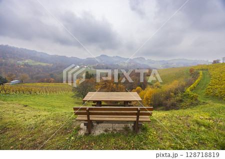 Resting place overlooking vineyards and colorful hills in Styria, Austria Resting place overlooking vineyards and colorful hills in Styria, Austria 128718819
