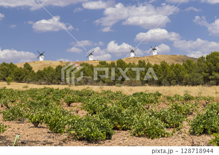 Windmills rising above green vineyards in Alcazar de San Juan, Spain 128718944