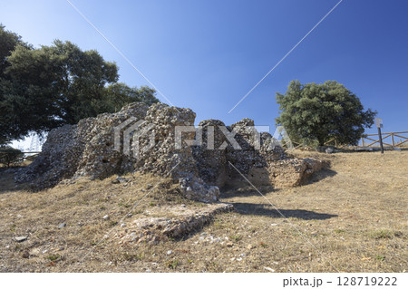 Ruins of Castrum Coeranos revealing ancient Roman architecture in Palacios del Pan, Zamora, Spain Ruins of Castrum Coeranos revealing ancient Roman architecture in Palacios del Pan, Zamora, Spain 128719222