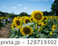 太陽に向かって 128719302