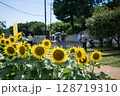 夏の花の咲くひまわり畑を散策する人々 128719310