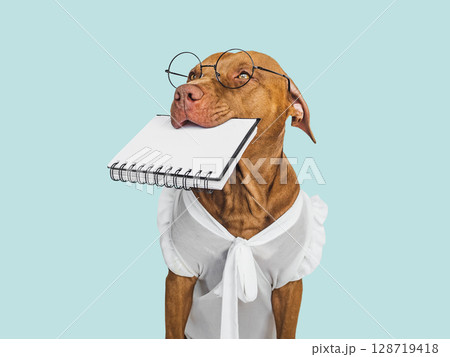 Cute puppy, glasses and a notepad. Business style Cute puppy, glasses and a notepad. Business style 128719418