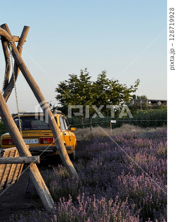 Vintage Car by Lavender Field in Moldova 128719928