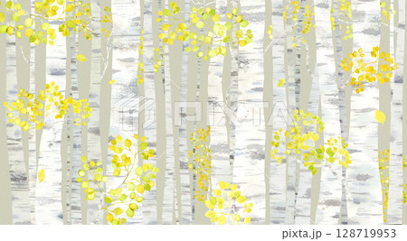 黄色に色づく、秋の白樺林の水彩イラスト。秋のイメージ背景。 128719953