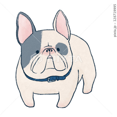 フレンチブルドッグ 128719995
