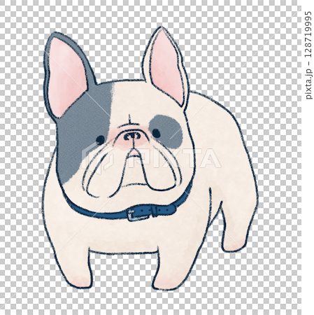 フレンチブルドッグ 128719995