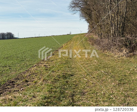 Summer landscape with green grass, road and clouds 128720336