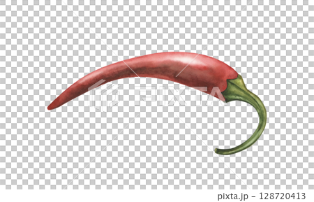 Vibrant watercolor illustration of a hot chili pepper pod in a handmade botanical style. Ideal for packaging, culinary projects, blogs, printing, cafe menus and the beauty industry 128720413