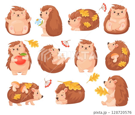 Cartoon autumn hedgehog. Cute hedgehogs fall forest animal character, baby urchin sleep funny wild animals with mushroom leaf woodland leaves, childish neat vector illustration 128720576