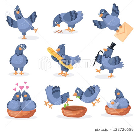 Cartoon pigeons characters. Pigeon cute mascot, funny city bird build nest flying dove character face emotion and poses, wild doves birds animal beak, set neat vector illustration Cartoon pigeons characters. Pigeon cute mascot, funny city bird build nest flying dove character face emotion and poses, wild doves birds animal beak, set neat vector illustration 128720589