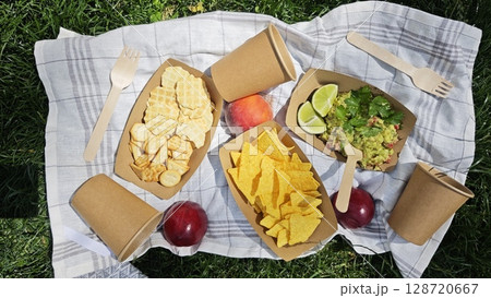 Assorted crackers, chips, guacamole and fruit served in paper trays on picnic blanket in the grass. Concept of eco-friendly snacking and outdoor summer picnic enjoyment 128720667