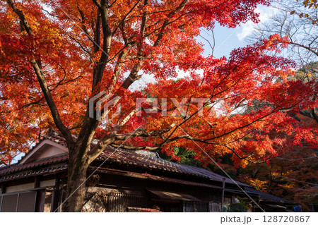 石清水八幡宮 裏参道展望台 男山展望台 128720867