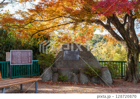 石清水八幡宮 裏参道展望台 男山展望台にある谷崎潤一郎文学碑と秋の木々 128720870