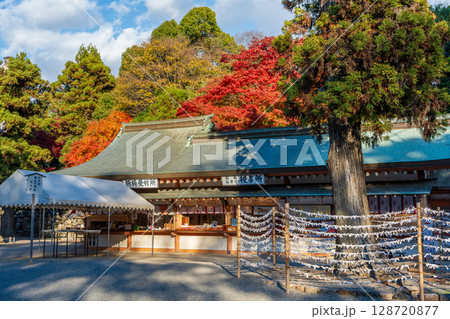 石清水八幡宮境内と秋の紅葉 京都府八幡市日本 石清水八幡宮境内と秋の紅葉 京都府八幡市日本 128720877