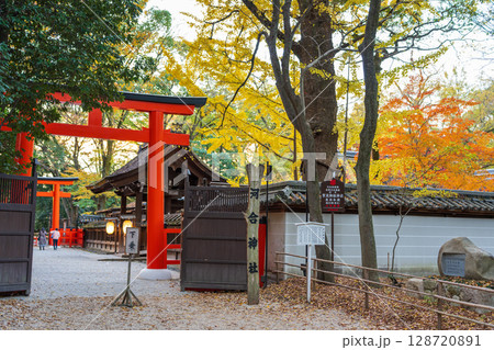 秋の河合神社、美しい銀杏と社殿 秋の河合神社、美しい銀杏と社殿 128720891