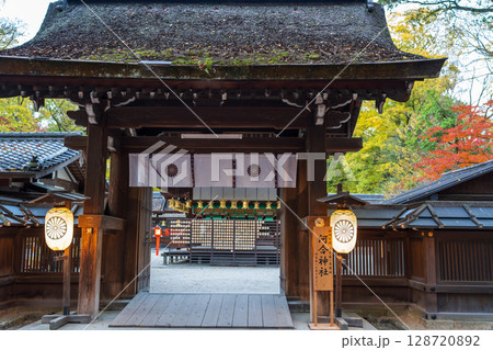 秋の河合神社、美しい銀杏と社殿 秋の河合神社、美しい銀杏と社殿 128720892